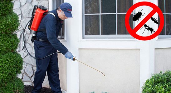 Doğanyol Böcek İlaçlama böcek ilaçlama ve haşere kontrolü — ilaclama-tr.com